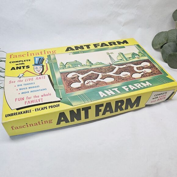 Vintage Ant Farm 1959 Fascinating Never Used EIC Grossman (no) Live Ants! Older - Picture 12 of 15